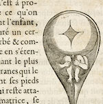 Hartsoeker's infant in sperm